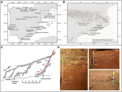 A new assemblage of late Neanderthal remains from Cova Simanya (NE Iberia)